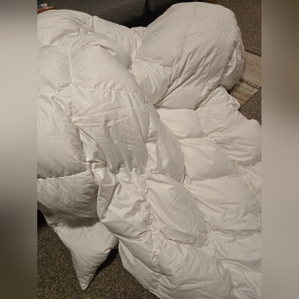 Quince White Down Comforter- TWIN
